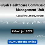Punjab Healthcare Commission Job 2024